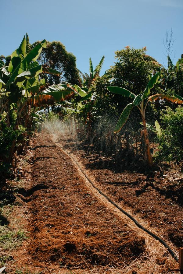 Hotel Vegano Bona Espero Alto Paraíso de Goiás Dış mekan fotoğraf