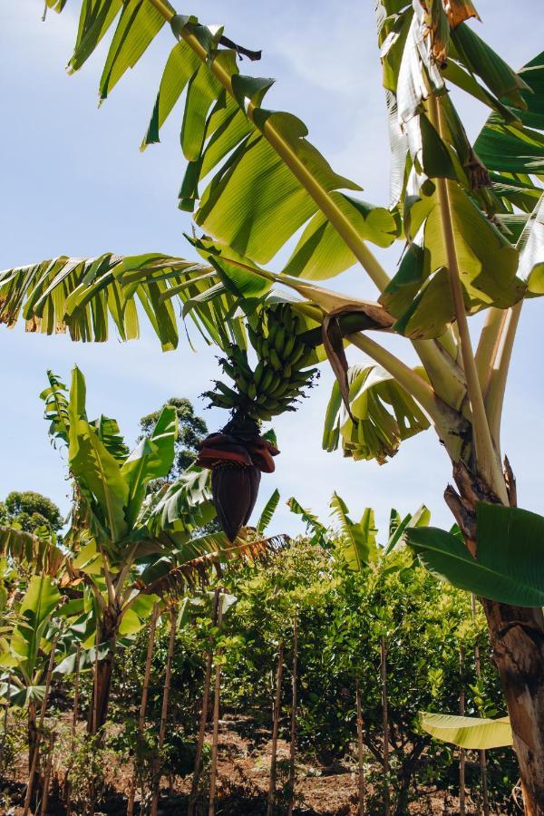 Hotel Vegano Bona Espero Alto Paraíso de Goiás Dış mekan fotoğraf